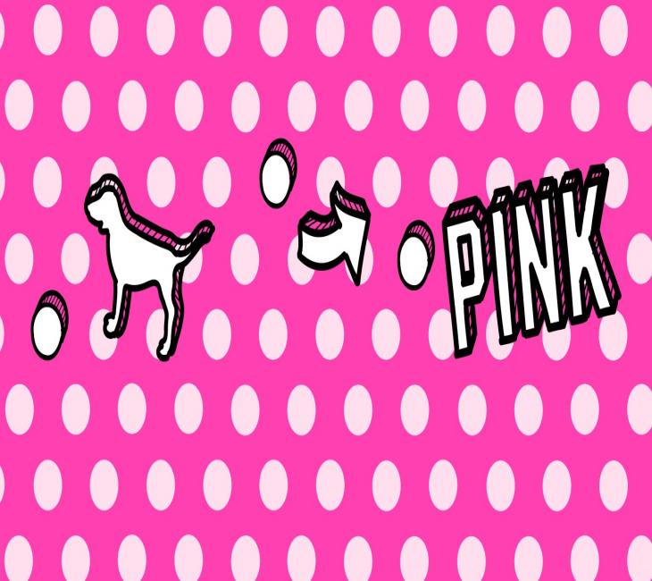 VICTORIA'S SECRET PINK